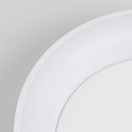 Brilagi - LED dimeriuojamas lubinis šviestuvas FALCON LED/80W/230V 3000-6500K skers. 60 cm baltas + nuotolinio valdymo pultas