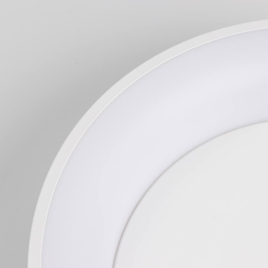 Brilagi - LED dimeriuojamas lubinis šviestuvas FALCON LED/80W/230V 3000-6500K skers. 60 cm baltas + nuotolinio valdymo pultas