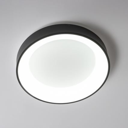 Brilagi - LED Reguliuojamas lubinis šviestuvas FALCON LED/80W/230V 3000-6500K juodas + valdymo pultas