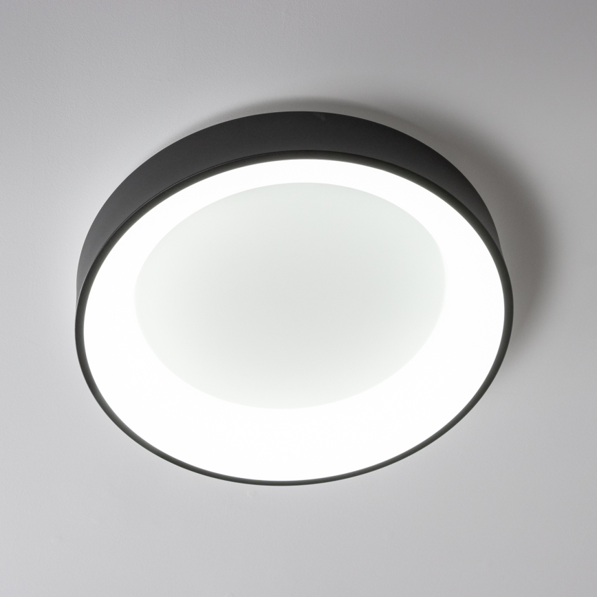 Brilagi - LED Reguliuojamas lubinis šviestuvas FALCON LED/80W/230V 3000-6500K juodas + valdymo pultas