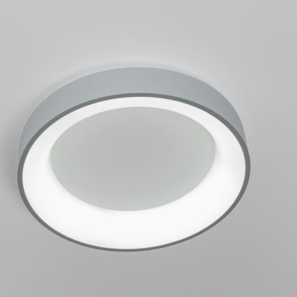 Brilagi - LED Reguliuojamas lubinis šviestuvast FALCON LED/80W/230V 3000-6500K pilkas + valdymo pultas