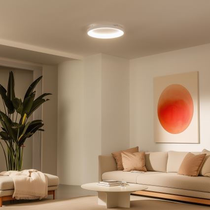 Brilagi - LED Dimeriuojamas lubinis šviestuvas FALCON SLIM LED/42W/230V 3000-6500K skersmuo 50 cm balta + nuotolinis valdymas