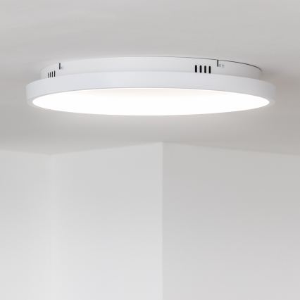 Brilagi - LED Dimeriuojamas lubinis šviestuvas FALCON SLIM LED/42W/230V 3000-6500K skersmuo 50 cm balta + nuotolinis valdymas