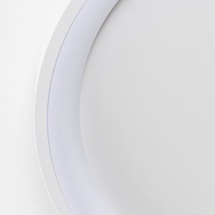 Brilagi - LED Dimeriuojamas lubinis šviestuvas FALCON SLIM LED/42W/230V 3000-6500K skersmuo 50 cm balta + nuotolinis valdymas