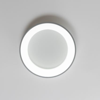 Brilagi - LED Reguliuojamas lubinis šviestuvas FALCON LED/40W/230V 3000-6500K pilkas + valdymo pultas