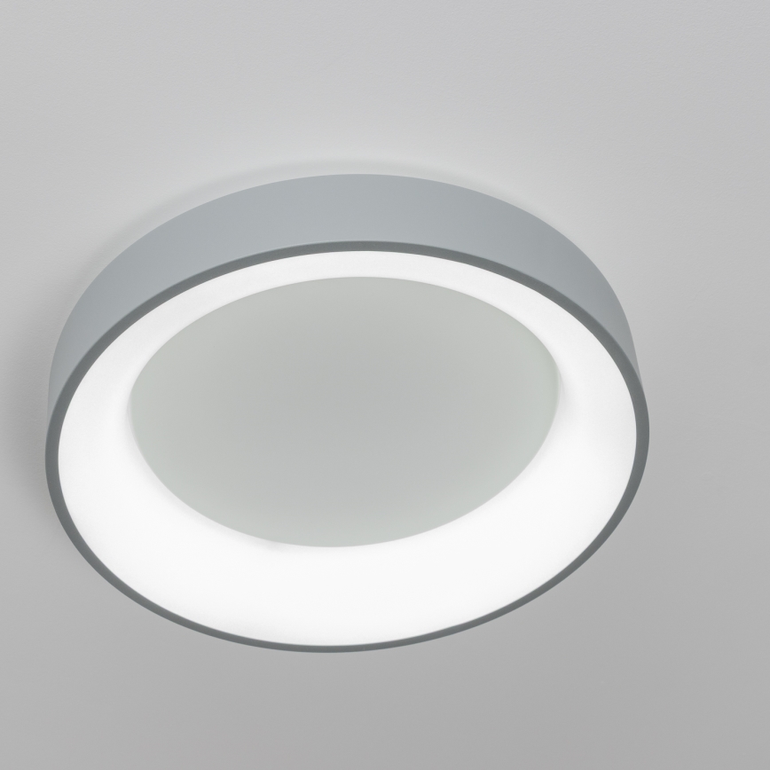 Brilagi - LED Reguliuojamas lubinis šviestuvas FALCON LED/40W/230V 3000-6500K pilkas + valdymo pultas