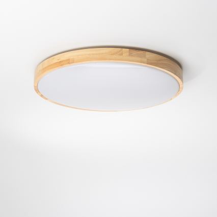 Brilagi - LED Reguliuojamas lubinis šviestuvas PINE LED/24W/230V 3000-6500K + valdymo pultas