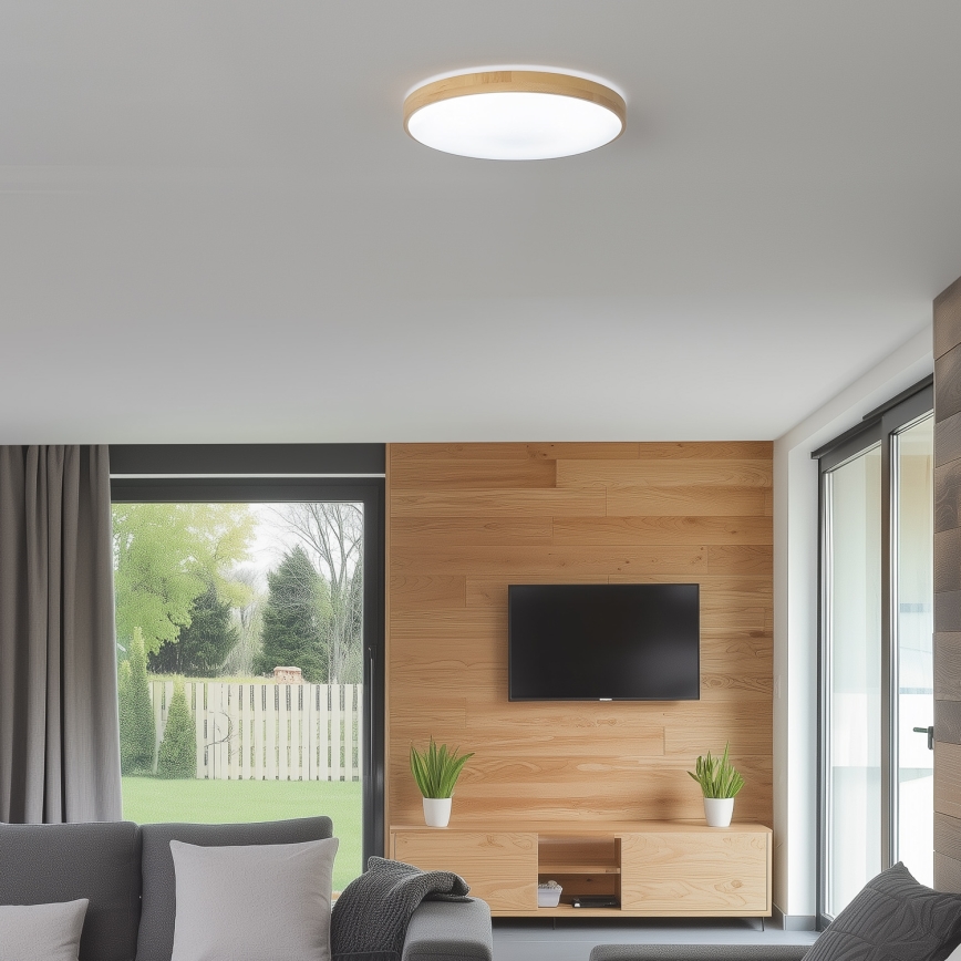 Brilagi - LED Reguliuojamas lubinis šviestuvas PINE LED/24W/230V 3000-6500K + valdymo pultas