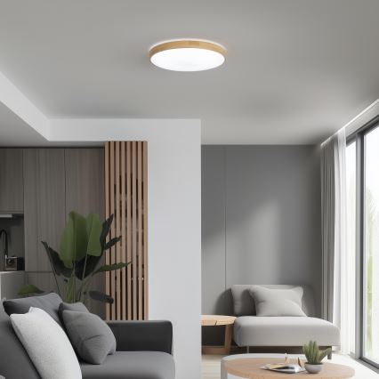 Brilagi - LED Reguliuojamas lubinis šviestuvas PINE LED/24W/230V 3000-6500K + valdymo pultas