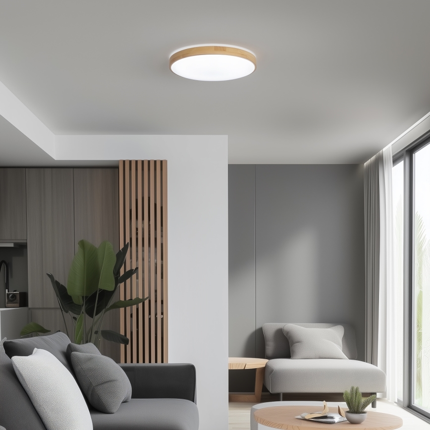 Brilagi - LED Reguliuojamas lubinis šviestuvas PINE LED/24W/230V 3000-6500K + valdymo pultas