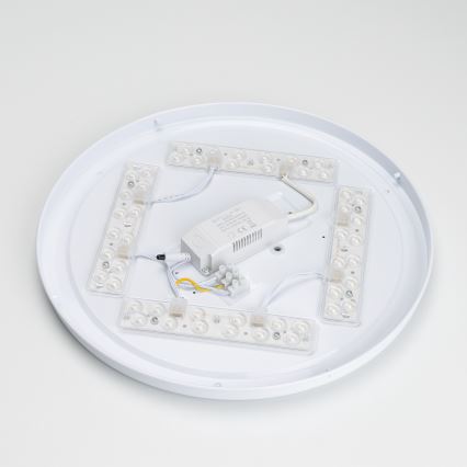 Brilagi - LED Reguliuojamas lubinis šviestuvas PINE LED/24W/230V 3000-6500K + valdymo pultas