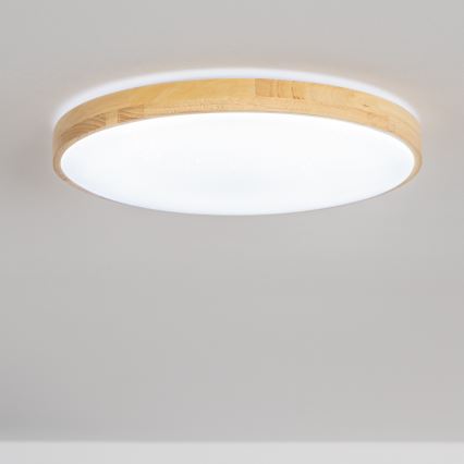 Brilagi - LED Reguliuojamas lubinis šviestuvas PINE LED/60W/230V 3000-6500K + valdymo pultas