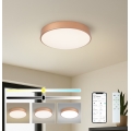 BRILAGI - LED Reguliuojamas lubinis šviestuvas POOL SMART LED/48W/230V 3000-6000K skers. 40 cm Wi-Fi Tuya vario spalvos + nuotolinis valdymas