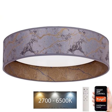 Brilagi - LED Reguliuojamas lubinis šviestuvas VELVET SMART LED/24W/230V d. 45 cm 2700-6500K Wi-Fi Tuya pilka/auksinė + nuotolinio valdymo pultas