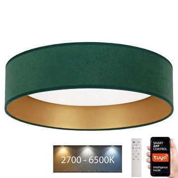 Brilagi - LED Reguliuojamas lubinis šviestuvas VELVET SMART LED/24W/230V d. 45 cm 2700-6500K Wi-Fi Tuya žalia/auksinė + nuotolinio valdymo pultas