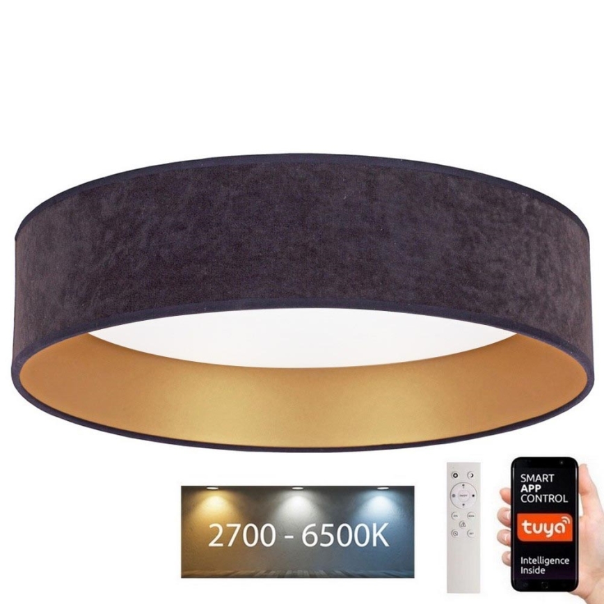 Brilagi - LED Reguliuojamas lubinis šviestuvas VELVET SMART LED/36W/230V d. 55 cm 2700-6500K Wi-Fi Tuya pilka/auksinė + nuotolinio valdymo pultas