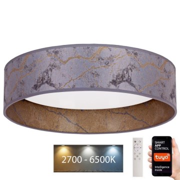 Brilagi - LED Reguliuojamas lubinis šviestuvas VELVET SMART LED/36W/230V d. 55 cm 2700-6500K Wi-Fi Tuya pilka/auksinė + nuotolinio valdymo pultas