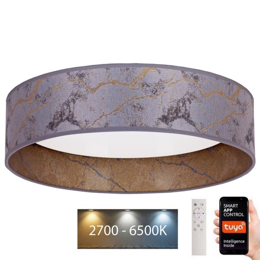 Brilagi - LED Reguliuojamas lubinis šviestuvas VELVET SMART LED/36W/230V d. 55 cm 2700-6500K Wi-Fi Tuya pilka/auksinė + nuotolinio valdymo pultas