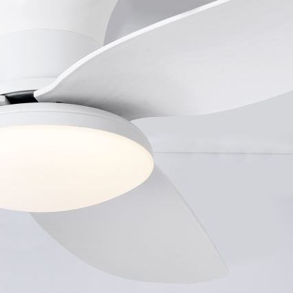 Brilagi - LED Reguliuojamas lubinis ventiliatorius LED/30W/230V 3000-6500K balta + nuotolinio valdymo pultas