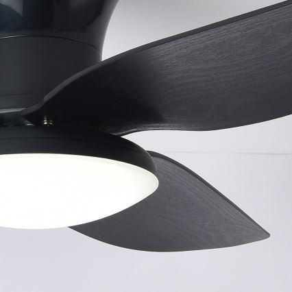 Brilagi - LED Reguliuojamas lubinis ventiliatorius LED/30W/230V 3000-6500K juoda + nuotolinio valdymo pultas