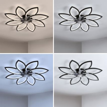 Brilagi - dimeriuojamas LED lubų ventiliatorius LED/43W/230V 3000-6500K skersm. 90 cm juodas + nuotolinis valdymas