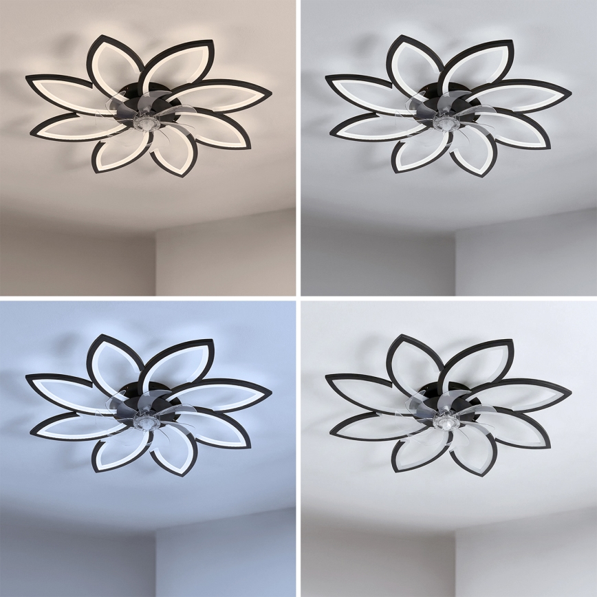 Brilagi - dimeriuojamas LED lubų ventiliatorius LED/43W/230V 3000-6500K skersm. 90 cm juodas + nuotolinis valdymas