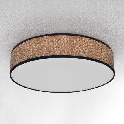 Brilagi - LED reguliuojamas lubų šviestuvas ADELA LED/48W/230V 3000-6500K skersmuo 40 cm + nuotolinio valdymo pultas