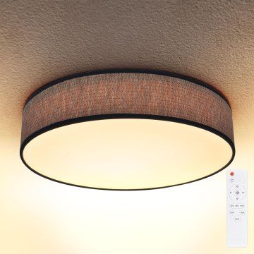 Brilagi - LED reguliuojamas lubų šviestuvas ADELA LED/48W/230V 3000-6500K skersmuo 40 cm + nuotolinio valdymo pultas
