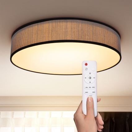 Brilagi - LED reguliuojamas lubų šviestuvas AURORA LED/48W/230V 3000-6500K skersmuo 40 cm + nuotolinis valdymas