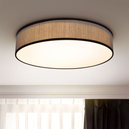 Brilagi - LED reguliuojamas lubų šviestuvas AURORA LED/48W/230V 3000-6500K skersmuo 40 cm + nuotolinis valdymas