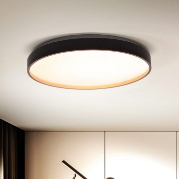 Brilagi - LED reguliuojamas lubų šviestuvas CALA LED/48W/230V 3000-6500K skersmuo 38 cm + nuotolinis valdymas
