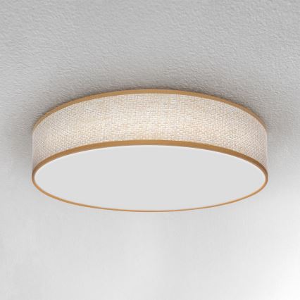 Brilagi - LED reguliuojamas lubų šviestuvas CARMEN LED/48W/230V 3000-6500K skersmuo 40 cm + nuotolinio valdymo pultas