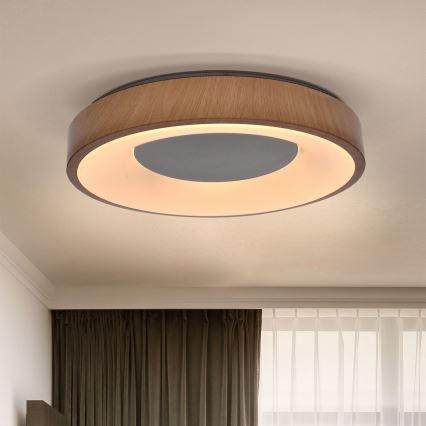 Brilagi - LED reguliuojamas lubų šviestuvas DORIA LED/48W/230V 3000-6500K skersmuo 39 cm + nuotolinis valdymas