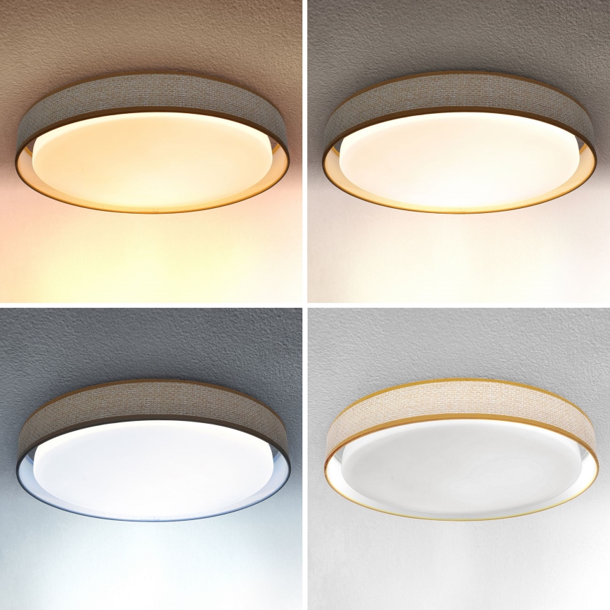 Brilagi - LED reguliuojamas lubų šviestuvas KIANIA LED/48W/230V 3000-6500K skersmuo 43 cm + nuotolinio valdymo pultas