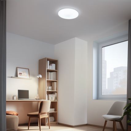 Brilagi - LED reguliuojamas lubų šviestuvas OPAL LED/24W/230V 3000/4000/6500K + nuotolinis valdymas