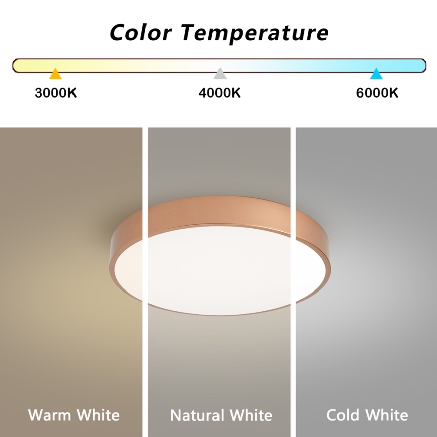 BRILAGI - dimeriuojamas LED lubų šviestuvas POOL LED/48W/230V 3000-6000K Ø 40 cm bronzinis + nuotolinis valdymas