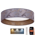 Brilagi - LED reguliuojamas lubų šviestuvas VELVET SMART LED/24W/230V skersmuo 45 cm 2700-6500K Wi-Fi Tuya pilka/auksinė + nuotolinio valdymo pultas