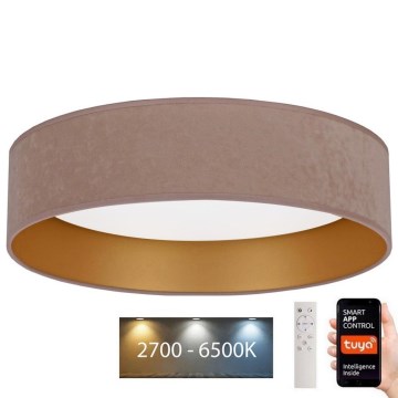 Brilagi - LED reguliuojamas lubų šviestuvas VELVET SMART LED/36W/230V skersmuo 55 cm 2700-6500K Wi-Fi Tuya smėlio/auksinė + nuotolinio valdymo pultas