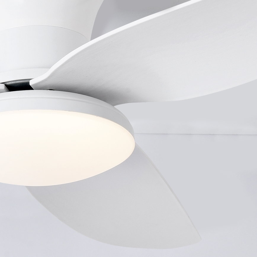 Brilagi - dimeriuojamas LED lubų ventiliatorius LED/30W/230V 3000-6500K balta + nuotolinis valdymas