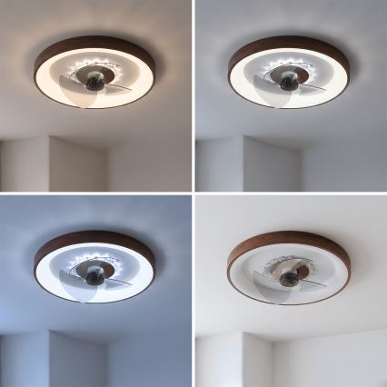 Brilagi - LED dimeriuojamas lubinis ventiliatorius LED/34W/230V 3000-6500K skersmuo 46 cm rudos spalvos + nuotolinis valdymas