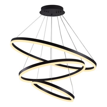 Brilagi - LED Reguliuojamas pakabinamas sietynas CIRCLE LED/125W/230V 3000-6500K juoda + nuotolinio valdymo pultas