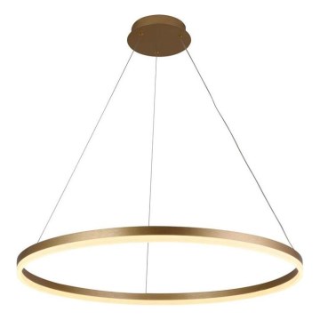 Brilagi - LED Reguliuojamas pakabinamas sietynas CIRCLE LED/55W/230V 3000-6500K auksas + nuotolinio valdymo pultas
