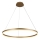 Brilagi - LED Reguliuojamas pakabinamas sietynas CIRCLE LED/55W/230V 3000-6500K auksas + nuotolinio valdymo pultas