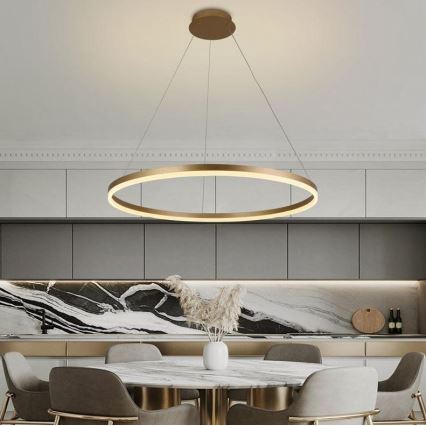 Brilagi - LED Reguliuojamas pakabinamas sietynas CIRCLE LED/55W/230V 3000-6500K auksas + nuotolinio valdymo pultas