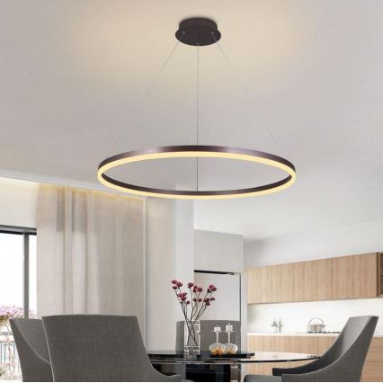 Brilagi - LED Reguliuojamas pakabinamas sietynas CIRCLE LED/55W/230V 3000-6500K ruda + nuotolinio valdymo pultas