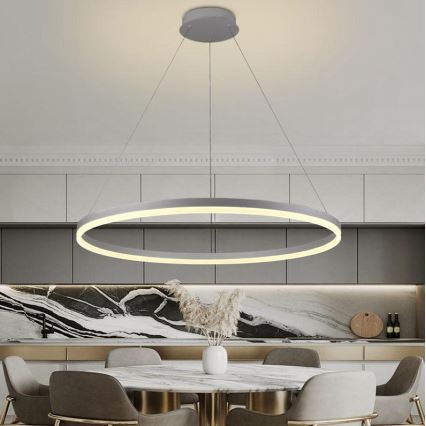 Brilagi - LED Reguliuojamas pakabinamas sietynas CIRCLE LED/55W/230V 3000-6500K sidabras + nuotolinio valdymo pultas
