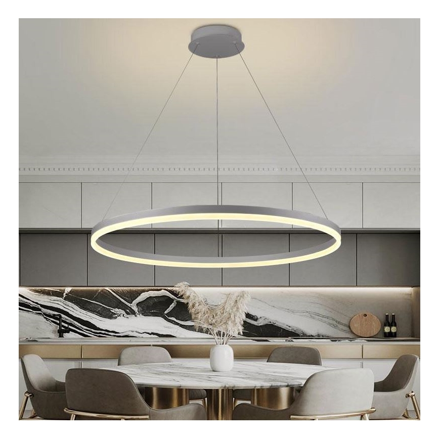 Brilagi - LED Reguliuojamas pakabinamas sietynas CIRCLE LED/55W/230V 3000-6500K sidabras + nuotolinio valdymo pultas