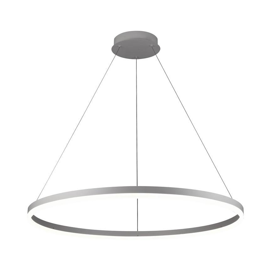Brilagi - LED Reguliuojamas pakabinamas sietynas CIRCLE LED/55W/230V 3000-6500K sidabras + nuotolinio valdymo pultas