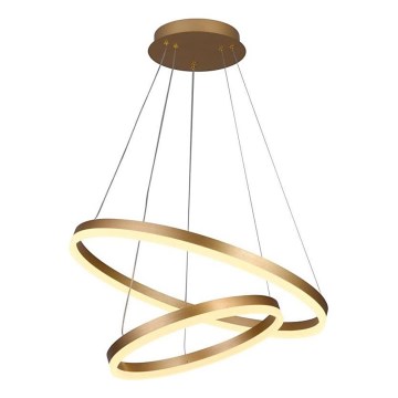 Brilagi - LED Reguliuojamas pakabinamas sietynas CIRCLE LED/70W/230V 3000-6500K auksas + nuotolinio valdymo pultas