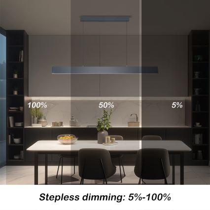 Brilagi - LED Reguliuojamas pakabinamas sietynas SLIMLINE LED/40W/230V 3000-6000K antracitas + nuotolinio valdymo pultas